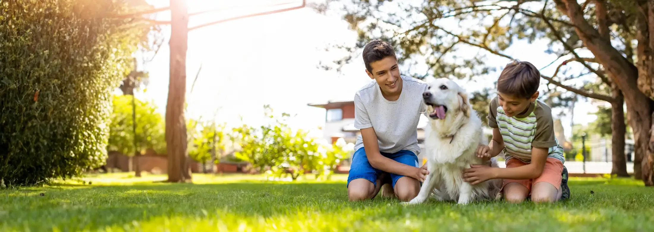 boys petting dog