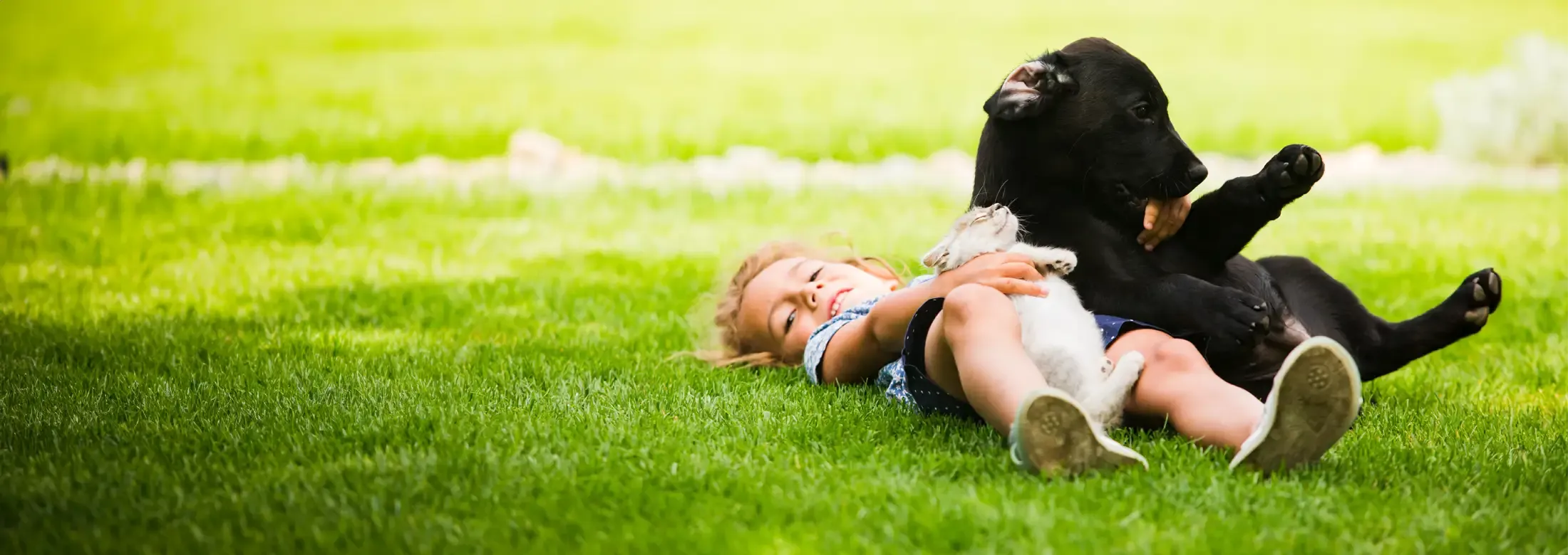 girl playing with dog